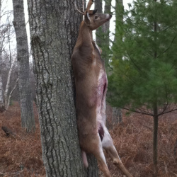 Hunting 2010